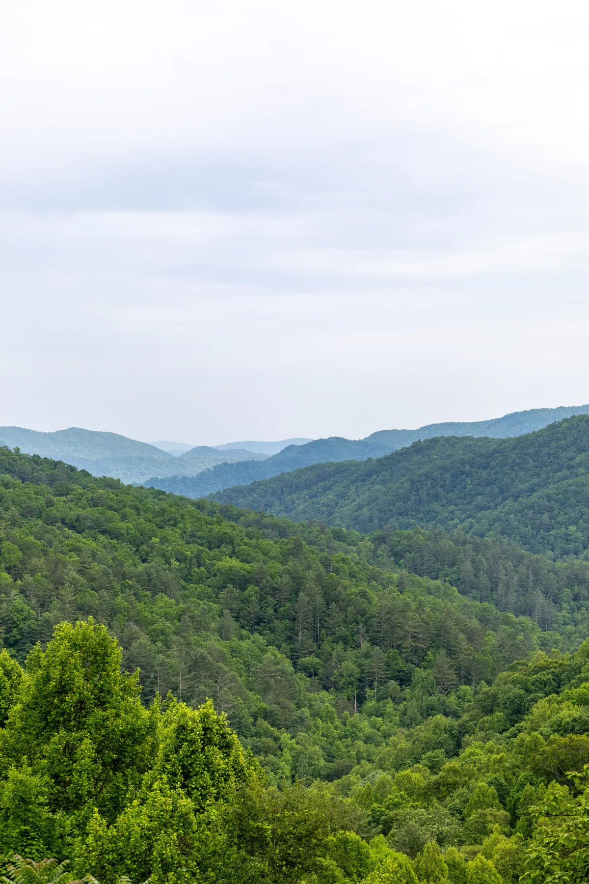 A panoramic mountain view with rolling green hills, layered ridges, and an overcast sky, inviting guests to venture out and explore the stunning natural landscape surrounding the property.