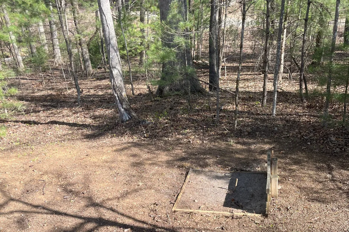 A tranquil wooded area with mature trees and a simple ground structure, offering a quiet spot for hiking, bird watching, or exploring the outdoors. The dense forest feels both peaceful and wild, evoking the spirit of adventure.